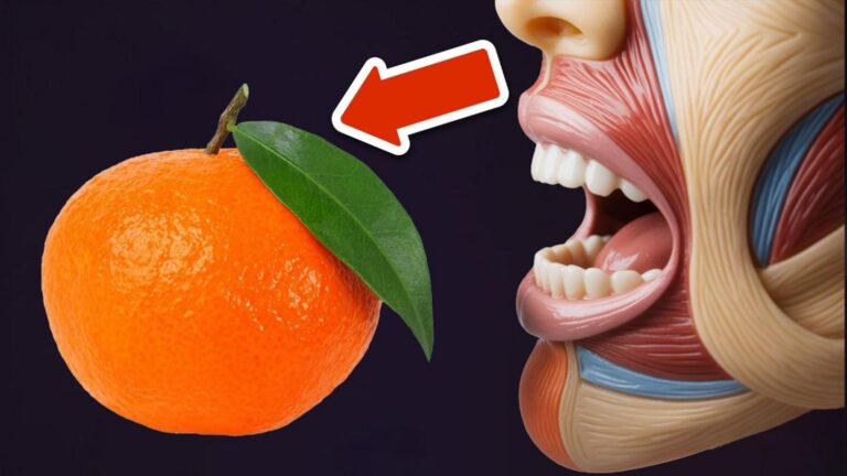 7 powodów, dla których codzienne mandarynki odmieniają życie! 🍊✨
